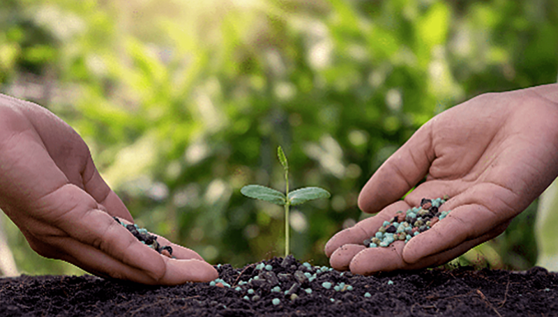 Dansk Busglas måler vores udledning To hænder gøder en lille plante